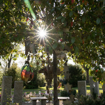 Sternengarten