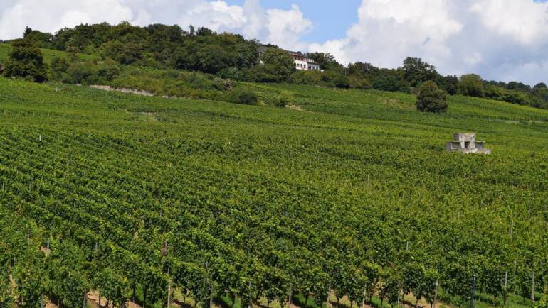 unterwegs sein am 1. Mai 2022 im Rheingau