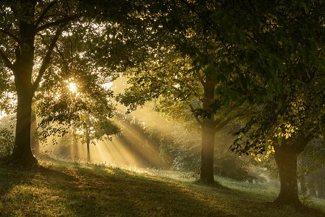 Zwischen Liebe und Schuld – Wege durch die Trauer